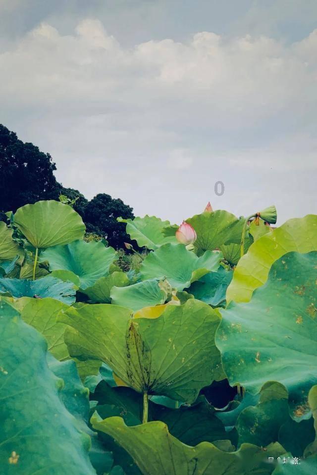作业机器人救援